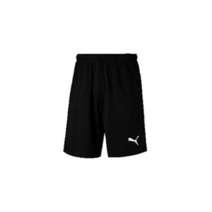 Liga Training Shorts