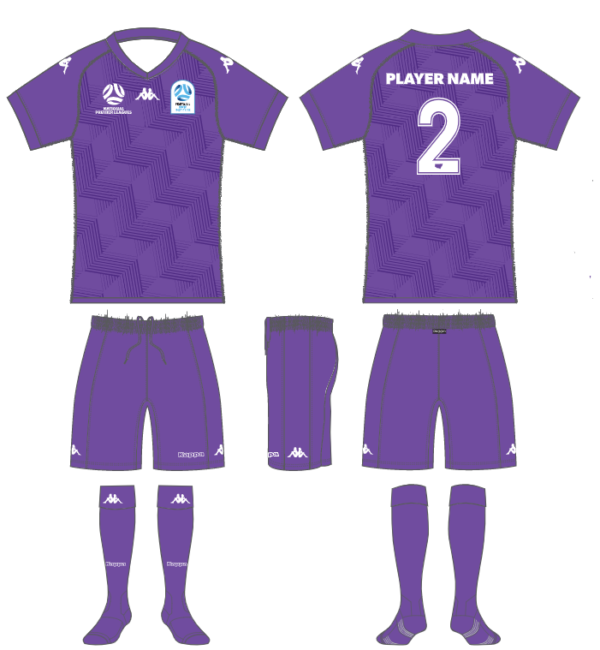 FNSW Institute Goal Keeper Kit - Purple Pack