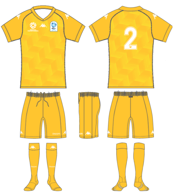 FNSW Institute Goal Keeper Kit - Yellow Pack